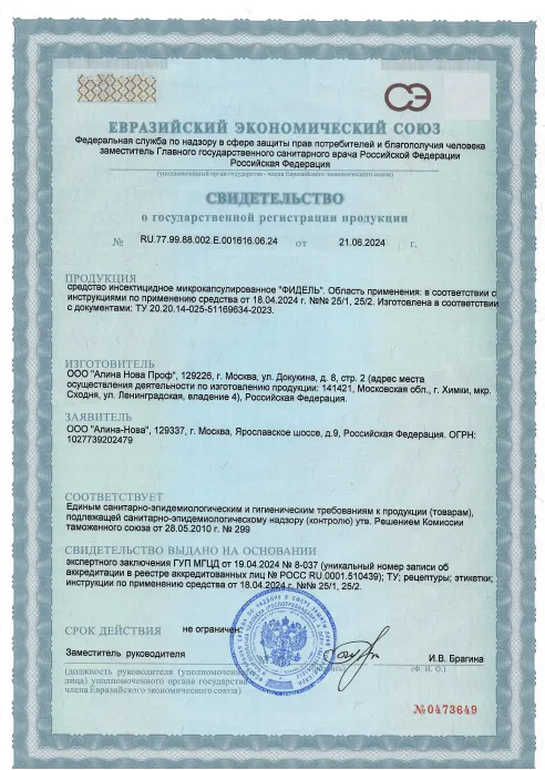 Летние насекомые - фото 22