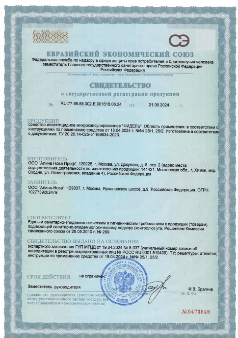 Летние насекомые - фото 23